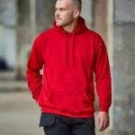 PRO HOODIE – PRO RTX RX350 (4)