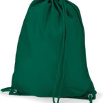 Gymsac green