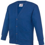 Kids Academy cardigan royal