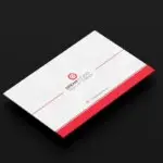 Business Card 450 GSM Silk 03