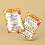 A3 Flyer